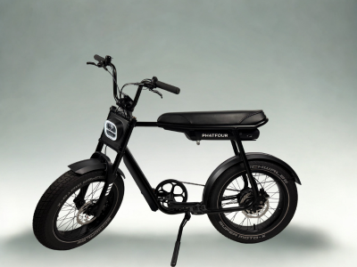 FLXS Showroommodel Black - 500Wh Accu - PF3244959