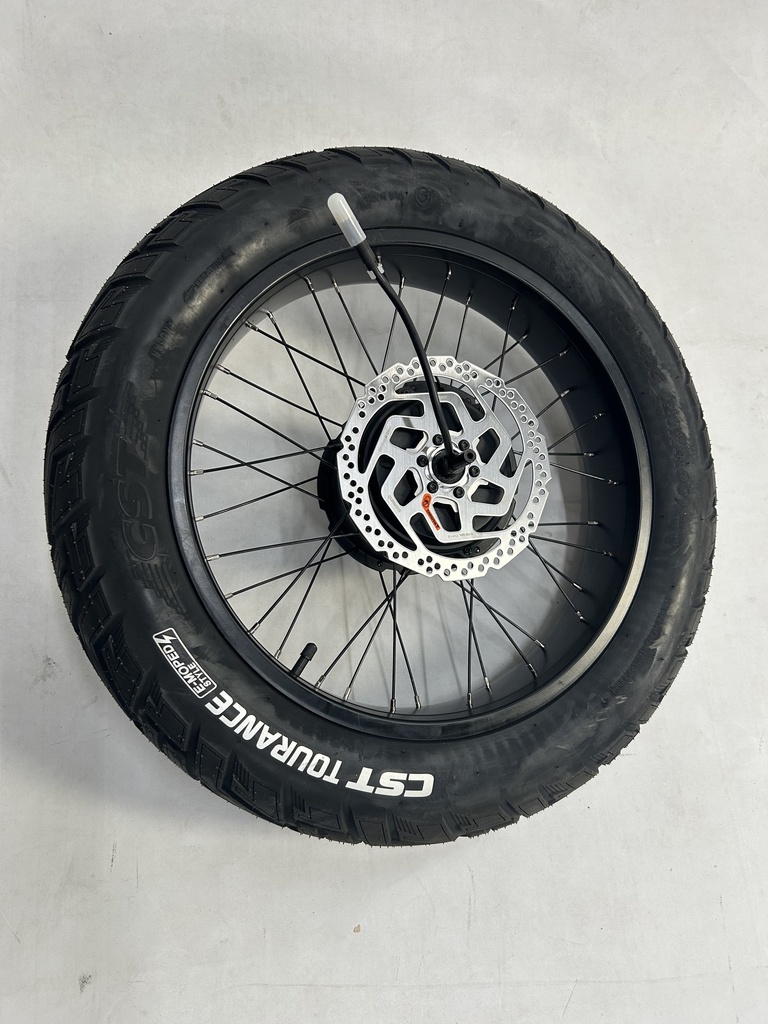 Rear wheel FLX+ (belt drive)
