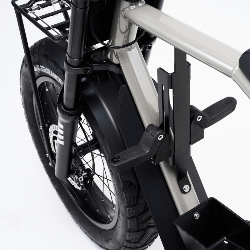 Footpegs front FLX (Assembly)